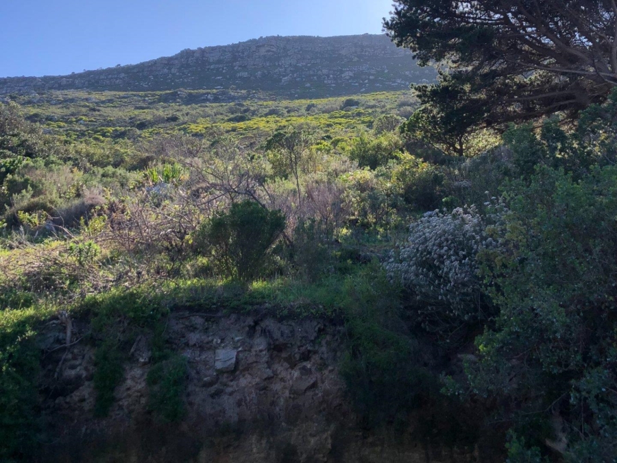 0 Bedroom Property for Sale in Clovelly Western Cape